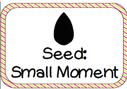 writing seed